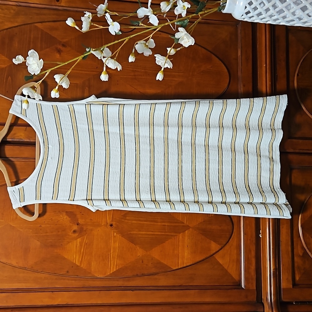 Max Studio Women's Striped Sleeveless Knit Shift Dress XL NWOT - Picture 3 of 7